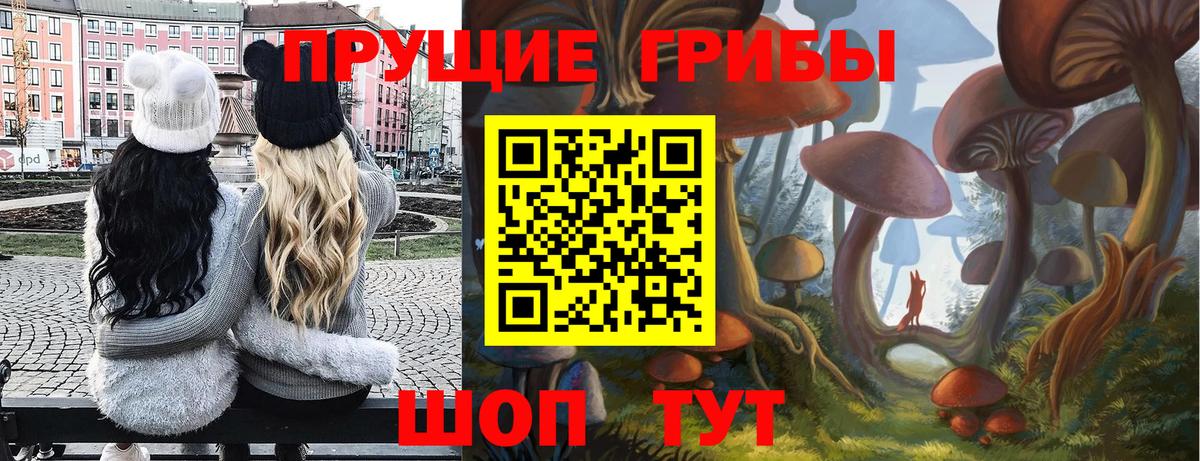 Псилоцибиновые грибы Cubensis Подольск